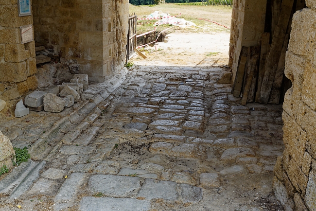 Balade avec Monique (La Brède Budos Villandraut)-054